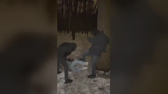 Pchełce Xani Bani pozwolono przebywać w kręgu